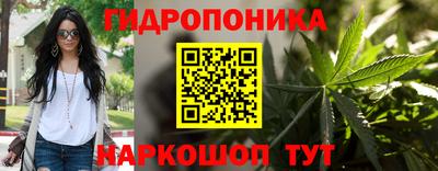 PSILOCYBIN Малоярославец