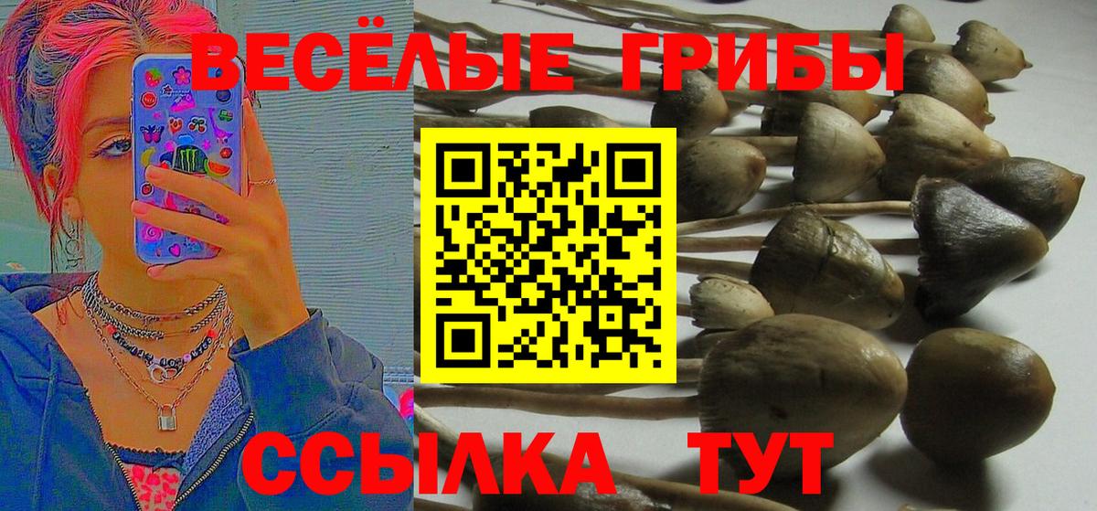 купить  сайты  Псилоцибиновые грибы мухоморы  Вход с VPN  Туапсе 